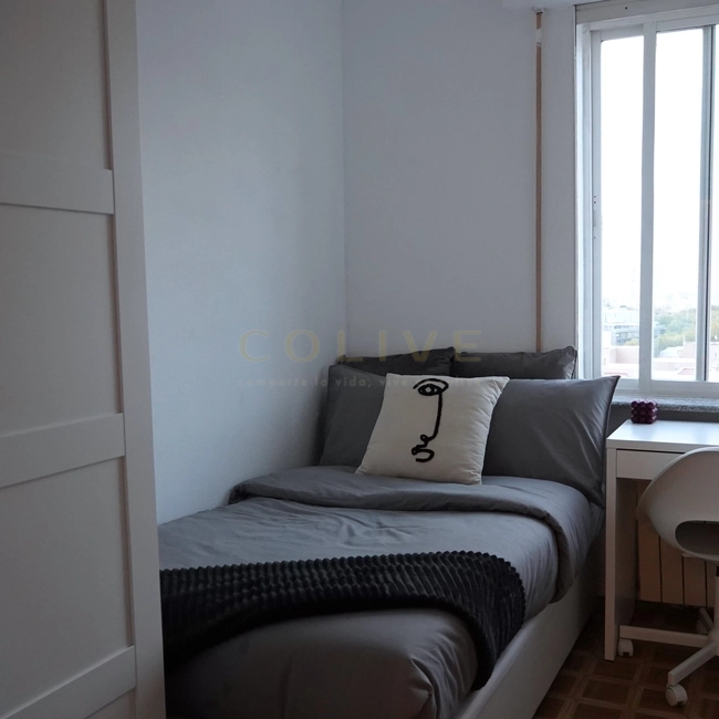 VDAR3-Fuencarral-El Pardo-Virgen de Aránzazu-10921