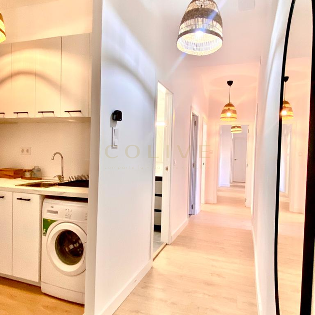 RLLR2-Centro-Redondilla-7643