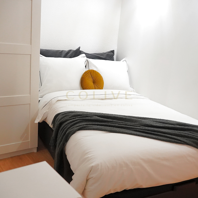 A105R2-Salamanca-Alcala-10446