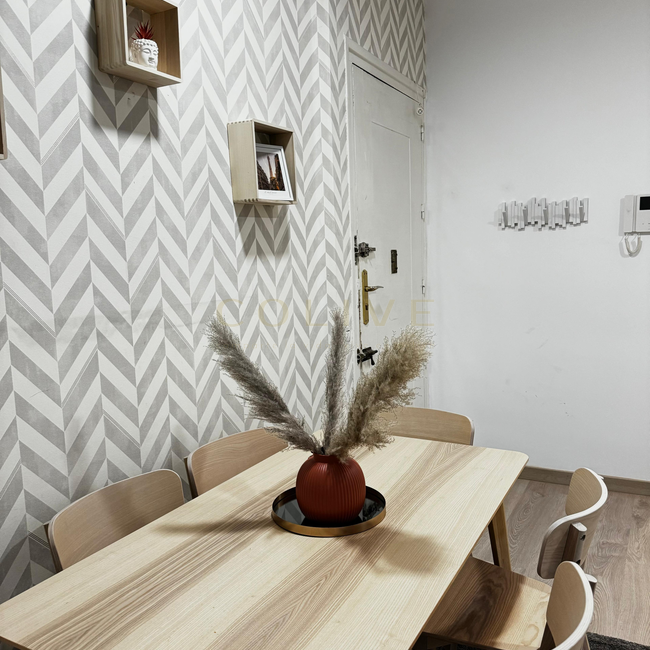 S81.1R5-Salamanca-Calle Serrano-8963