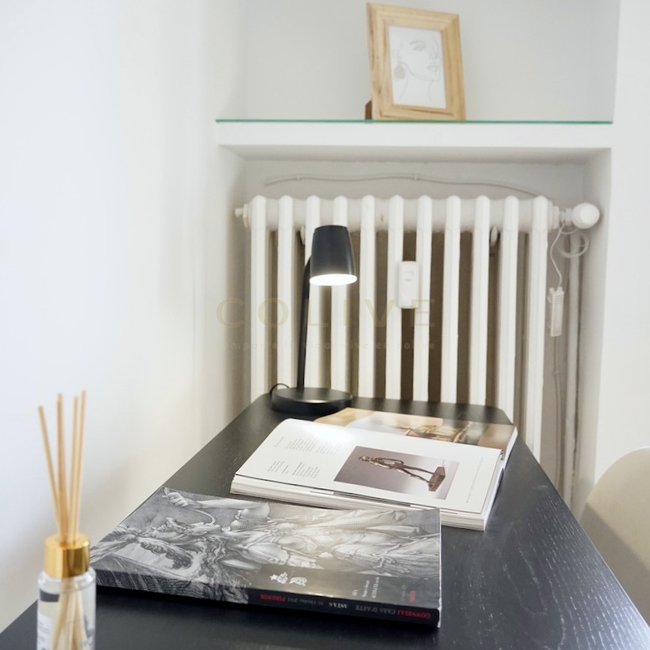 ELR1-Chamartín-Enrique Larreta-8170