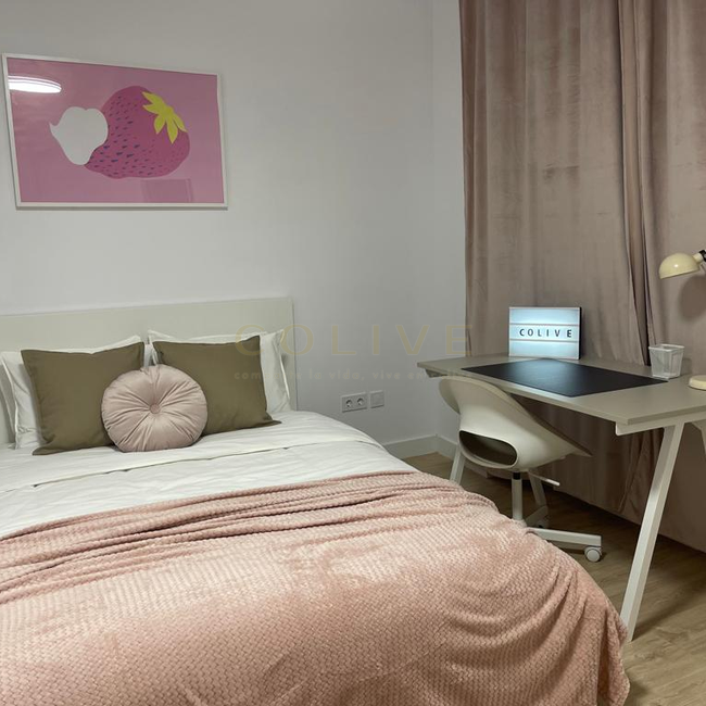 G41-1R7-Salamanca-Goya 41-7411