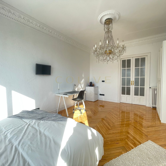 PR56R7-Moncloa-Aravaca-Paseo del Pintor Rosales-10137