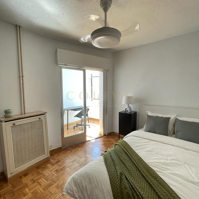 SRNR4-Chamartín-San Ramon Nonato-7293