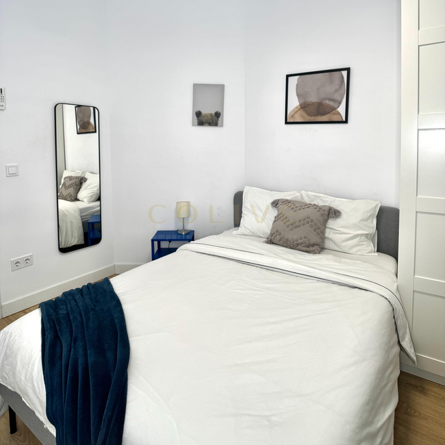 G41-1R6-Salamanca-Goya 41-9205