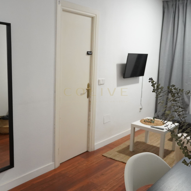 G83R5-Salamanca-Goya 83-8467