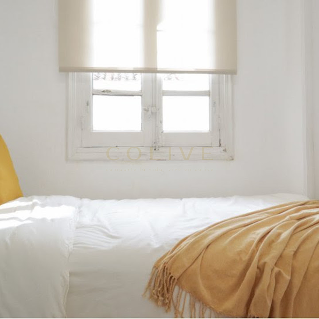 G41-5R5-Salamanca-Goya 41-6458