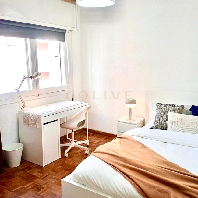 SRNR5-Chamartín-San Ramon Nonato-7282