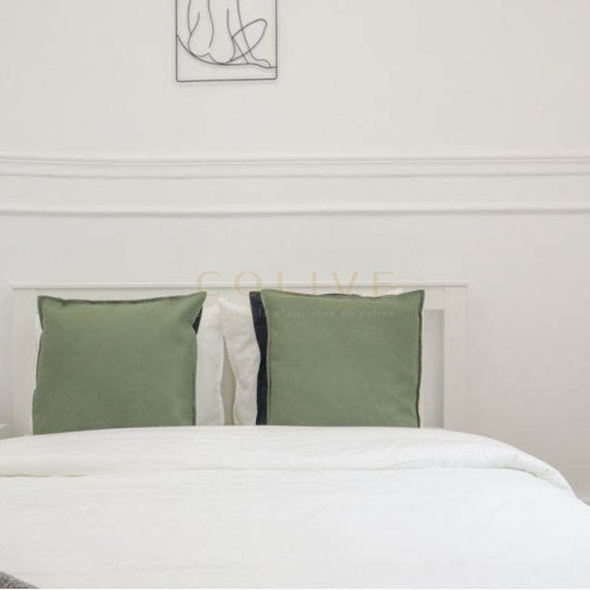 G41-5R6-Salamanca-Goya 41-6469