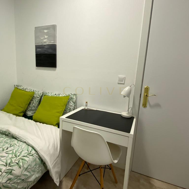 SB15R6-Centro-Santa Brigida-10876