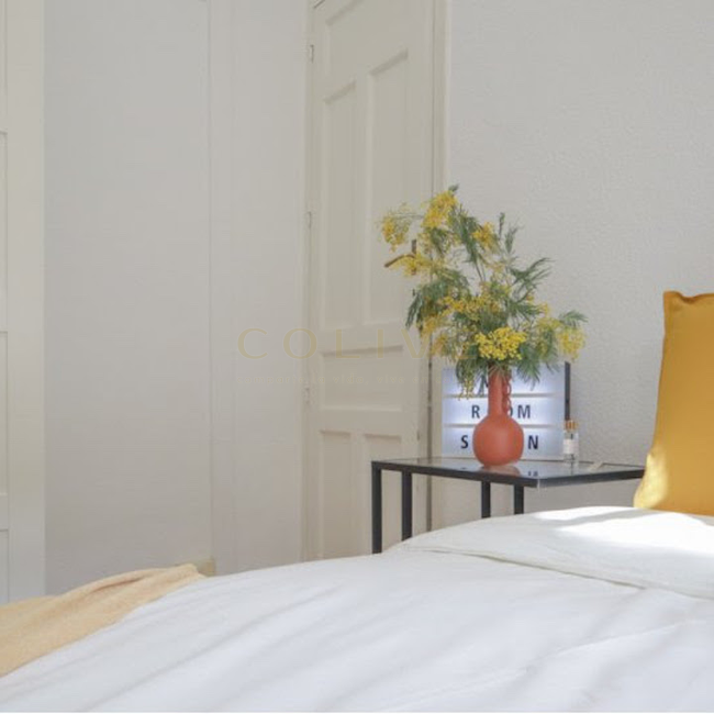 G41-5R5-Salamanca-Goya 41-6459