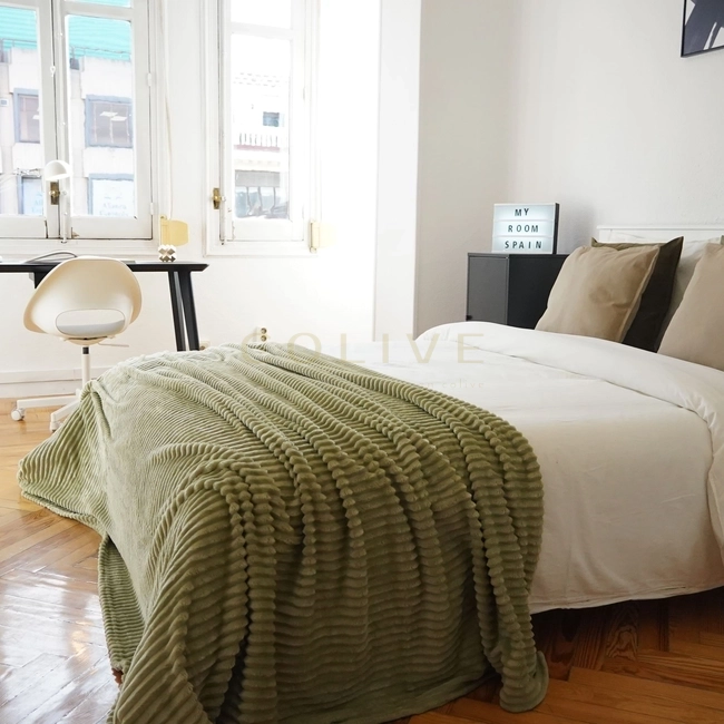 G41-5R1-Salamanca-Goya 41-11079