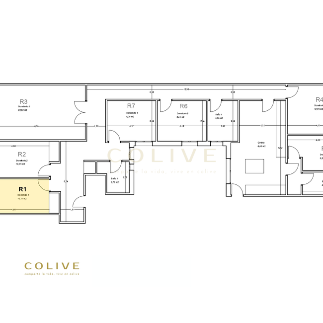 G85R1-Salamanca-Goya 85-9848