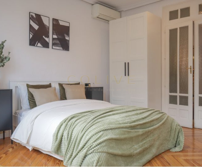 G41-5R1-Salamanca-Goya 41-8514