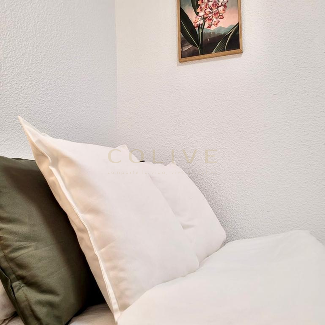 V4R5-Centro-de la Villa-7223