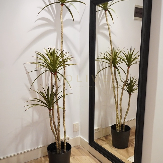 Chamartín-Enrique Larreta-1438