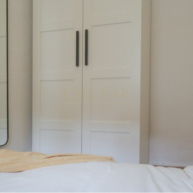 G41-5R5-Salamanca-Goya 41-6463