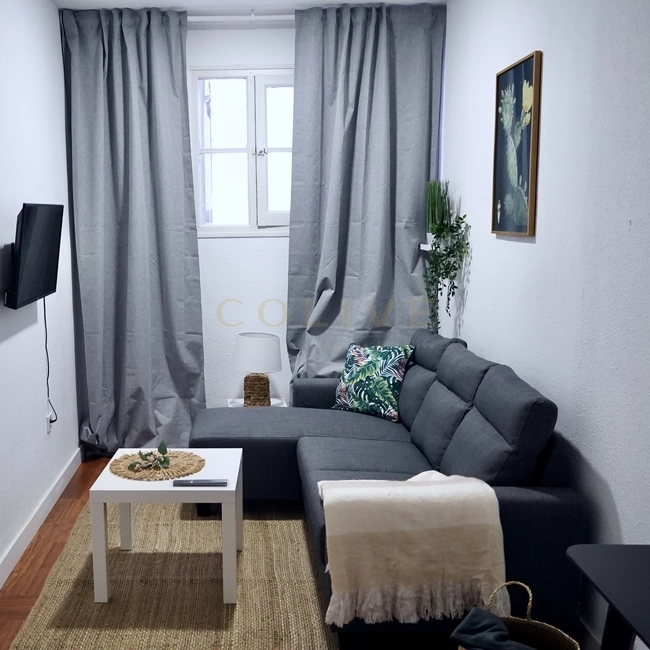 G83R3-Salamanca-Goya 83-8338