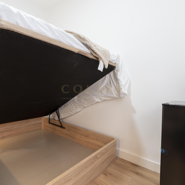 SE154-4-R1-Chamberí-Santa Engracia, 154-10832