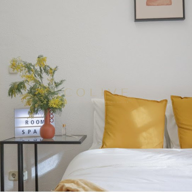 G41-5R5-Salamanca-Goya 41-6461