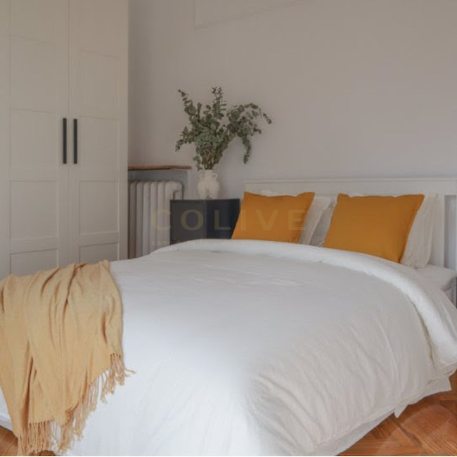 G41-5R2-Salamanca-Goya 41-6425