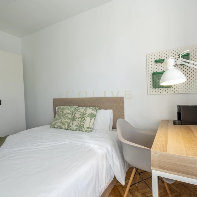 SEG21R3-Centro-Segovia-10580