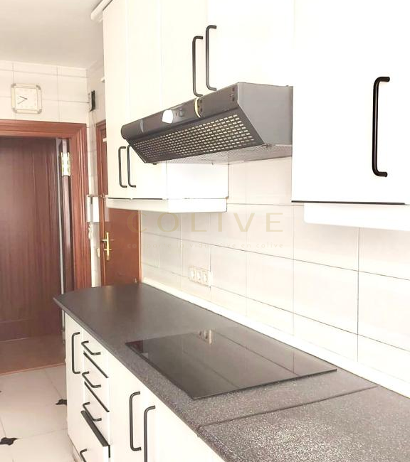 SRNR1-Chamartín-San Ramon Nonato-7344