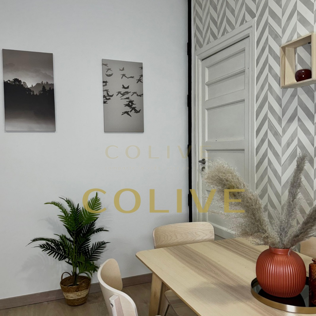 S81.1R3-Salamanca-Calle Serrano-9282