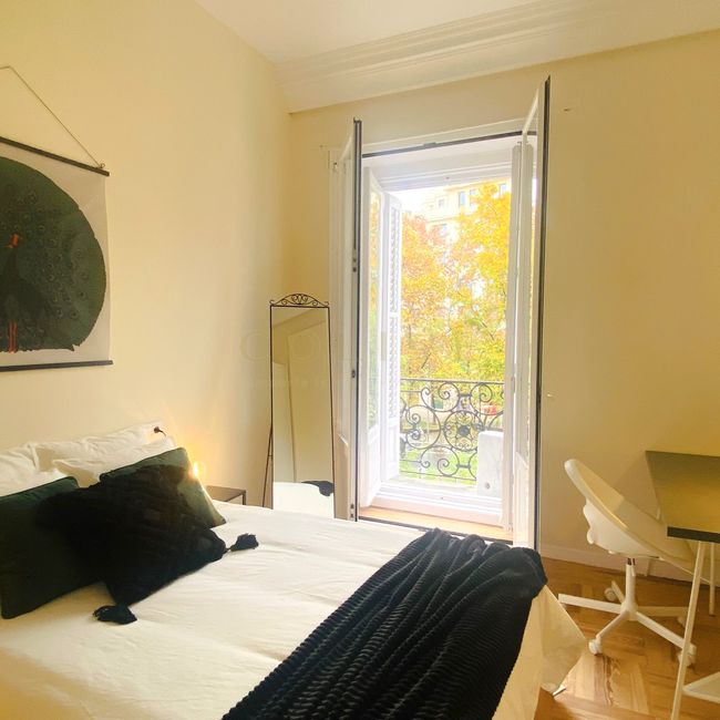 PSBR2-Centro-Plaza Santa Barbara-8669