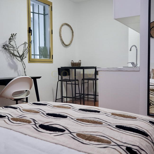 G83R1-Salamanca-Goya 83-8234