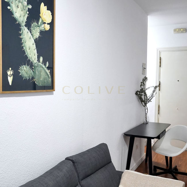 G83R1-Salamanca-Goya 83-8259