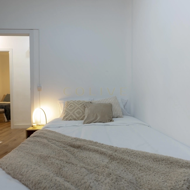 SE154-4-R1-Chamberí-Santa Engracia, 154-10829