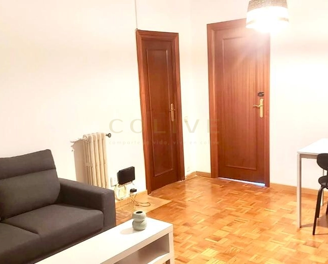 SRNR2-Chamartín-San Ramon Nonato-7332