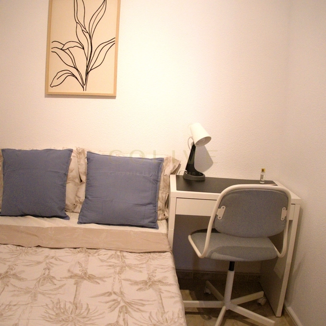 SB15R4-Centro-Santa Brigida-10890