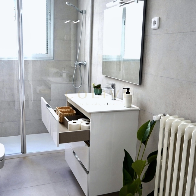 G114R1-Salamanca-Goya 114-11088