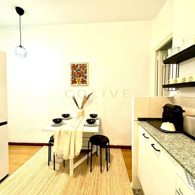 F129R4-Centro-Fuencarral-7719