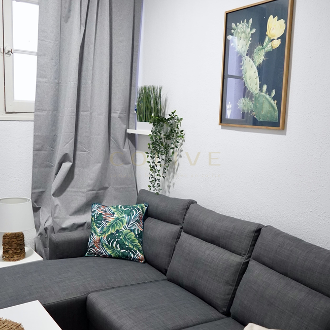 G83R1-Salamanca-Goya 83-8257