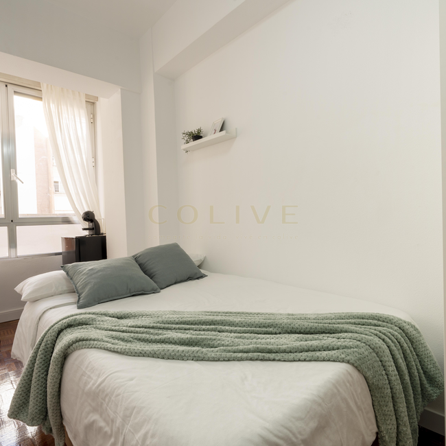 MAL41R2-Salamanca-Maldonado-10549