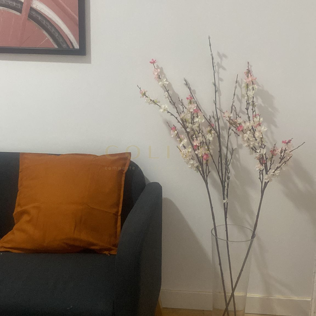 G114R3-Salamanca-Goya 114-8435