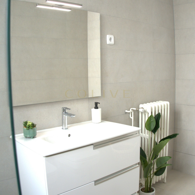 G114R5-Salamanca-Goya 114-8446