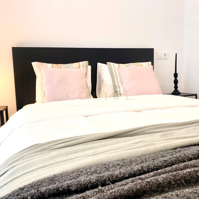 CP6R4-Salamanca-Conde de Peñalver-8161