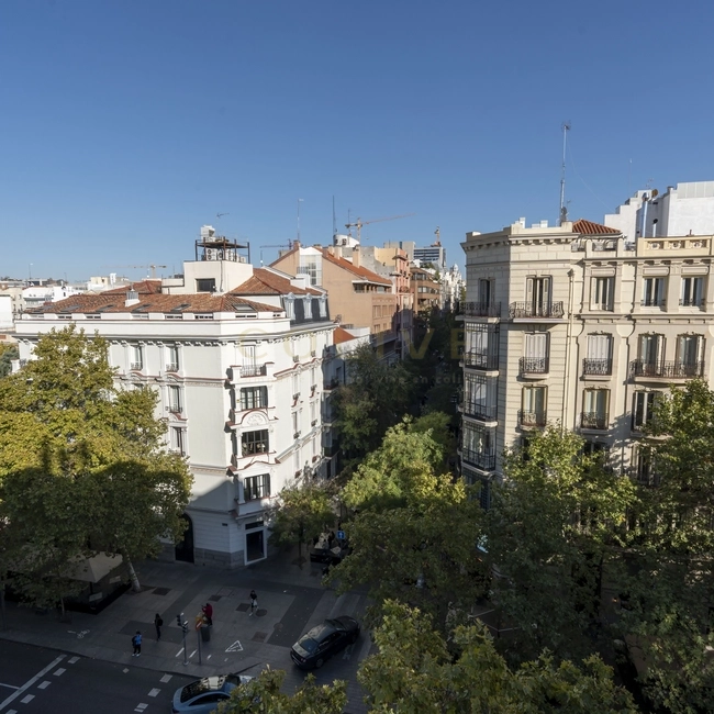 S81-6R4-Salamanca-Serrano-12128