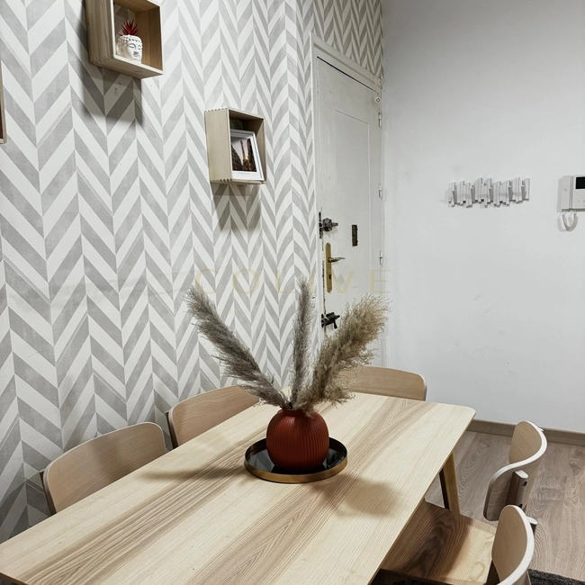 S81.1R1-Salamanca-Calle Serrano-8923