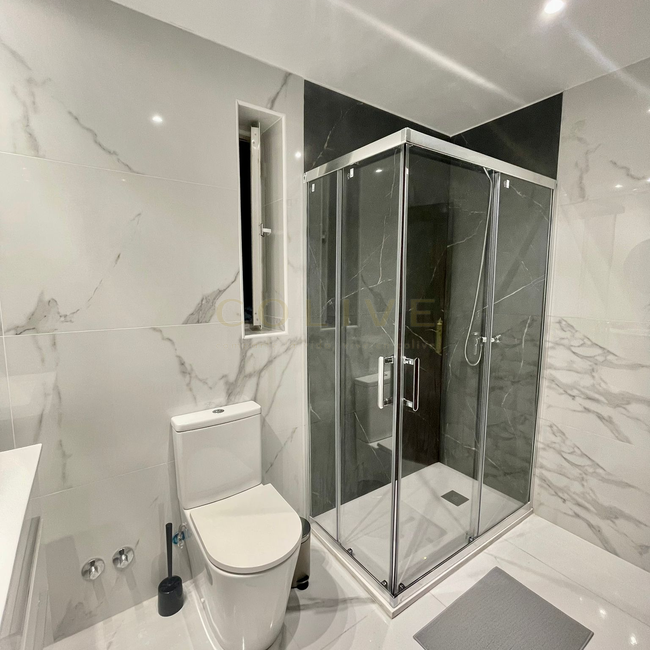 SRNR3-Chamartín-San Ramon Nonato-7311