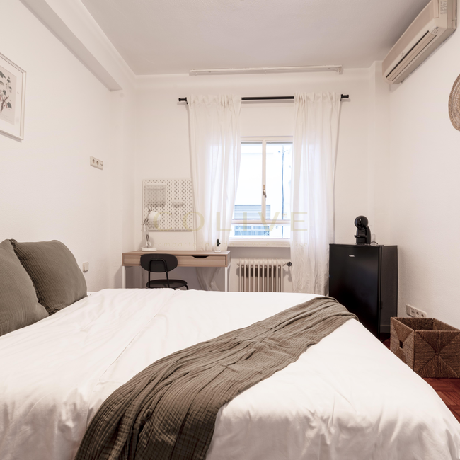 MAL41R4-Salamanca-Maldonado-10563