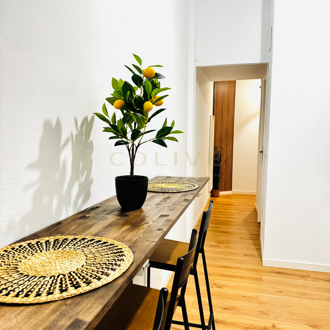 DRC60-2R1-Salamanca-Don ramón de la cruz-10733