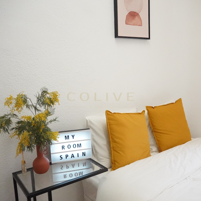 G41-5R5-Salamanca-Goya 41-6457