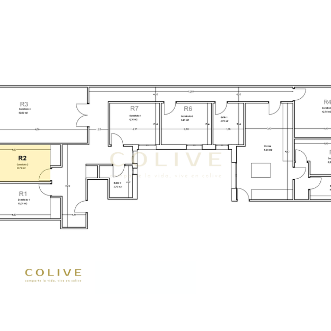 G85R2-Salamanca-Goya 85-9856
