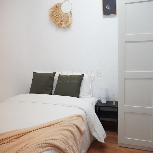 G41-5R4-Salamanca-Goya 41-6447