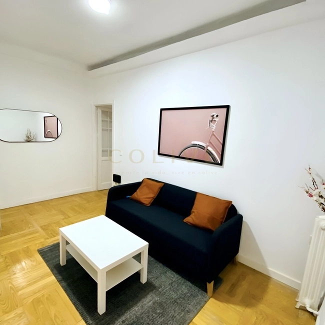 G114R1-Salamanca-Goya 114-11091